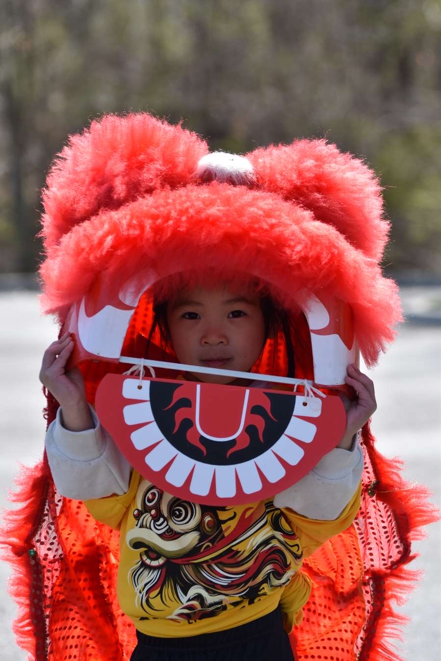 Colorful Bao Bao Lion costume
