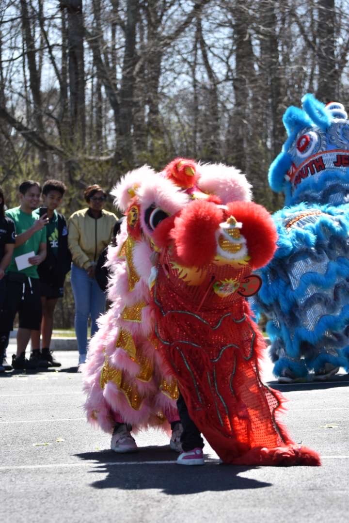 Young lion dancer wearing a colorful lion costume